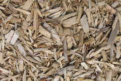 biomass boilers Housetter